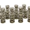 PAC RACING SPRINGS 1.564 Dual Valve Springs (16) PAC-1386-16