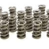 PAC RACING SPRINGS 1.574 Dual Valve Springs (16) PAC-1395-16