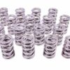 PAC RACING SPRINGS 1.574 Dual Valve Springs (16) PAC-1396-16