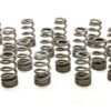 PAC RACING SPRINGS 1.250 Valve Springs - Ovate Beehive (16) PAC-1409X-16