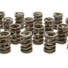 PAC RACING SPRINGS Valve Springs - HR Series (16) PAC-1901-16