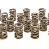 PAC RACING SPRINGS Valve Springs - HR Series (16) PAC-1904-16