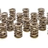 PAC RACING SPRINGS Valve Springs - HR Series (16) PAC-1905-16