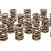 PAC RACING SPRINGS Valve Springs - HR Series (16) PAC-1908-16