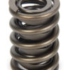PAC RACING SPRINGS Valve Spring - HR Series (1) PAC-1924