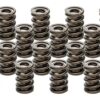 PAC RACING SPRINGS Valve Springs - HR Series (16) PAC-1940-16