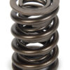 PAC RACING SPRINGS Valve Spring - HR Series (1) PAC-1940