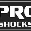 PRO SHOCK Pro Shock Street 2019 PRO100
