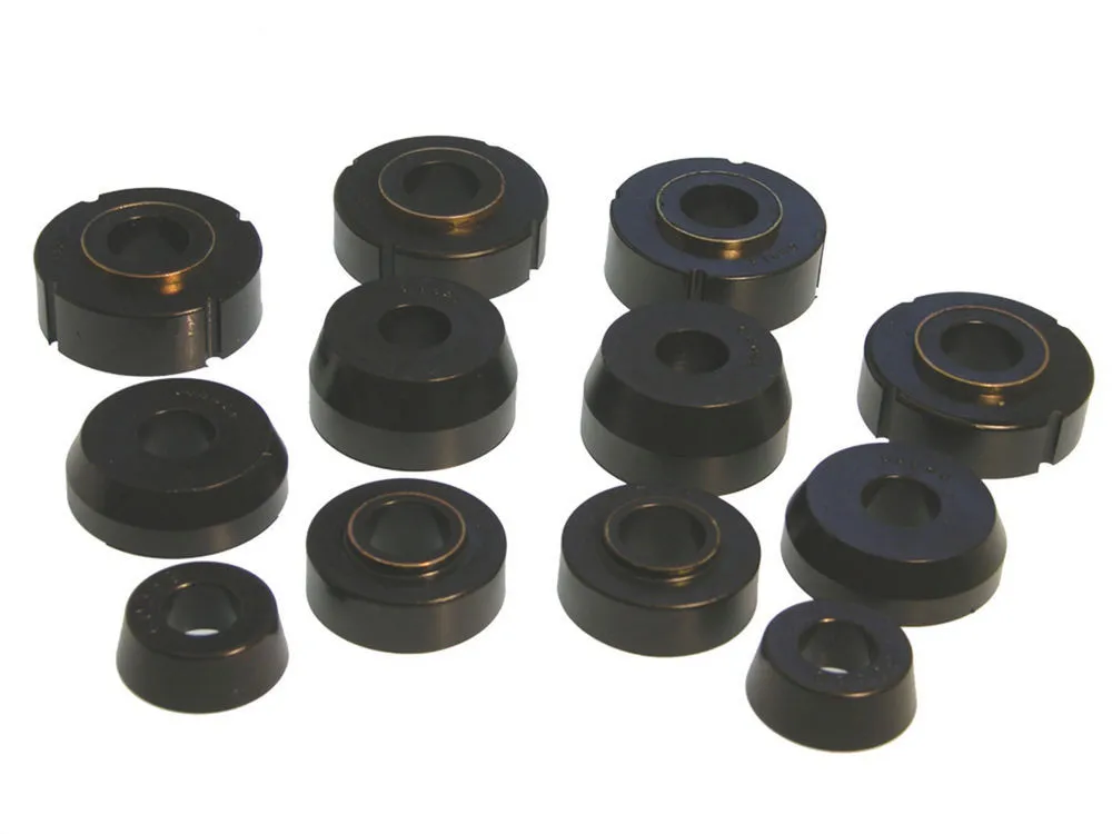 PROTHANE 66-79 Ford F100 Body Mount Kit 2WD 6-110BL
