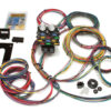 PAINLESS WIRING 21 Cir.Race/Pro Harness 50002