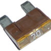 PAINLESS WIRING 70 Amp Maxi Fuse 80102