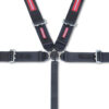 PYROTECT Harness 5pt Camlock PD 3in SFI SB100020