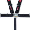 PYROTECT Harness 5pt L /L  PD 3in SFI SB160020