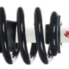 RANCHO Suspension Strut and Coil Spring RS551830