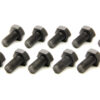 RATECH Ring Gear Bolts GM 1303