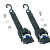 REESE Transom Retractable Ratc het Tie Down 2in x 43in 2060266