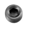 REDHORSE PERFORMANCE 4AN 1/4NPT Pipe Plug Hex Head Black 2/pkg 0932-04-02