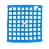 RJS SAFETY Ribbon Window Net 24x24 Blue SFI 10000603