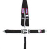 RJS SAFETY 5-PT Harness System BK Shoulder MT 2in Sub 1125401