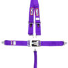 RJS SAFETY 5-PT Harness System PL shoulder MT 2IN Sub 1125408