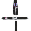 RJS SAFETY 5-PT Harness System BK Roll bar MT 3IN Sub 1126201