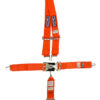 RJS SAFETY 5-PT Harness System OR Roll bar MT 3IN Sub 1126205