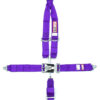 RJS SAFETY 5 PT Harness System PL Roll bar MT 3IN Sub 1126208