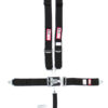 RJS SAFETY 5-Pt Harness System BK Ind Bolt In Mt 2in Sub 1127801