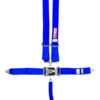 RJS SAFETY 5-Pt Harness System BL Ind Bolt In Mt 2in Sub 1127803