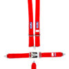 RJS SAFETY 5-Pt Harness System Rd Ind Bolt In Mt 3in Sub 1128604