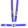 RJS SAFETY 5-PT Harness System Bl Ind Wrap Mt 1130203