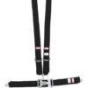 RJS SAFETY 5-PT Harness System Bk Ind Wrap Mt 3in Sub 1131001