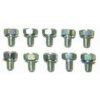 RACING POWER CO-PACKAGED Chevy Timing Chain Cove r Bolt Kit (10) R0030