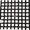 RACEQUIP Ribbon Net 21x24 SFI Black 726007RQP