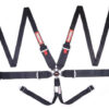RACEQUIP 6pt Harness Camlock HNR Black SFI 746006RQP