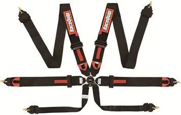 RACEQUIP 6pt Harness Camlock Blk FIA 851001RQP