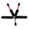 SIMPSON SAFETY Harness 5pt LL Pull-Down 3in / 2in Hans Shldr 132LD5WB