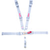 SIMPSON SAFETY 5-pt Harness System LL Wrap Ind 55in 29064P