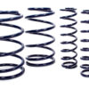 STEEDA AUTOSPORTS Sport Coil Spring Set(4) 05- GT 555-8215