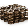 STRAUB TECHNOLOGIES INC. 1.290 Dual Valve Springs 16pk 110-1821