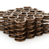 STRAUB TECHNOLOGIES INC. 1.290 Dual Valve Springs 16pk 110-1822