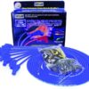 TAYLOR/VERTEX 8mm Blue Pro Wire 135 De 70652