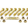 TILTON 5.5in 2 Disc Bolt Kit 95-002-5