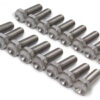 Ti22 PERFORMANCE Bead Lock Bolt Kit 16pcs Titanium 1in Long TIP1010