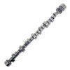 TRICK FLOW BBM Hyd Roller Camshaft TFS-61602003