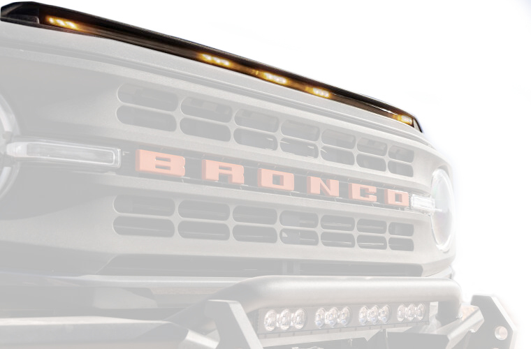 VENTSHADE Aeroskin Lightshield 753183