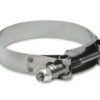 VIBRANT PERFORMANCE T-Bolt Clamps 2in Two Pack 2790