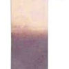 WILWOOD Pad Wear Plate Superlite R/H 300-5922