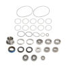WINTERS Overhaul Kit V8 Q/C 4399