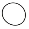 WINTERS 007 Drive Flange Locator O-Ring 7490